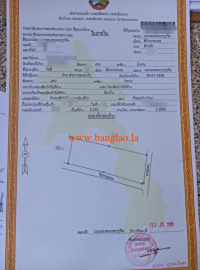 T00296